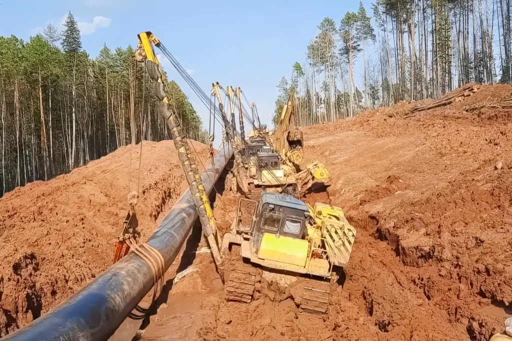 Excavators install a large pipeline through forest trench